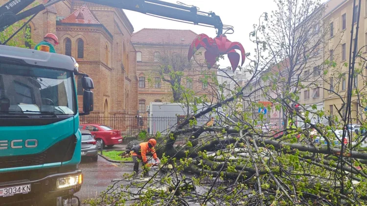FOTO Crveni alarm u Zagrebu: Nevrijeme ruši stabla. Više od 100 intervencija… Semafor opasno visio nad glavama vozača…
