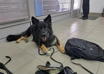 Srbijanac pokušao ući u Hrvatsku s podosta neprijavljene gotovine. Ali to je nanjušio pas…