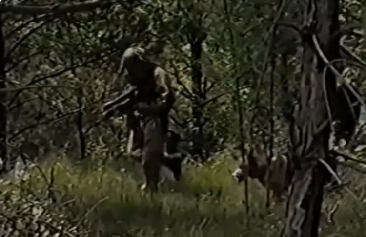 Obilježavanje obljetnice Operacije Baranja uz memorijalni program