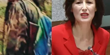 Ćipe poručio Daliji Orešković i Šprajcu: Bolje budala s idealima nego čovjek bez časti!