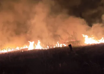 VIDEO Noć drame u požaru kod Skradina. Ravnateljica NP Krka traži kažnjavanje: Ovo nije slučajno. Imamo poruku za počinitelja…
