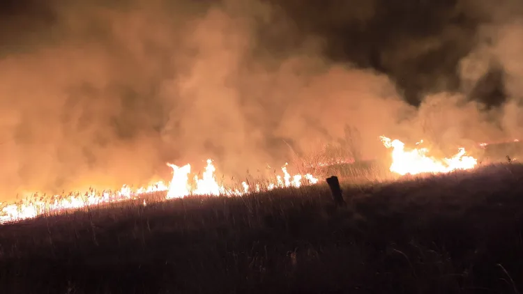 VIDEO Noć drame u požaru kod Skradina. Ravnateljica NP Krka traži kažnjavanje: Ovo nije slučajno. Imamo poruku za počinitelja…