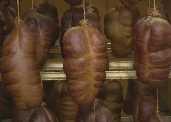 Skandal na festivalu kod Požege: Inspektorat otkrio neoznačeno meso i zabranjeni uvoz iz BiH i Srbije