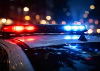 Bježao policiji autom kroz polja i maslinike pa završio u zatvoru