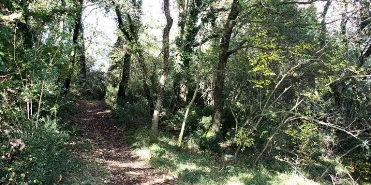 Bezobraznica nastavila gradnju u zaštićenom području unatoč zabrani: Policija odlučila to prekinuti