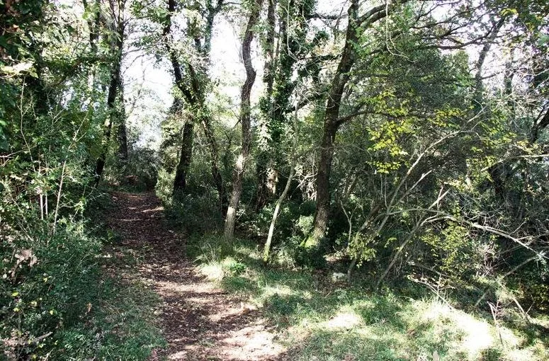 Bezobraznica nastavila gradnju u zaštićenom području unatoč zabrani: Policija odlučila to prekinuti