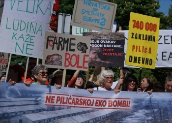 Tisuće prosvjedovale u Sisku: Ne želimo megafarme i klaonice u Hrvatskoj