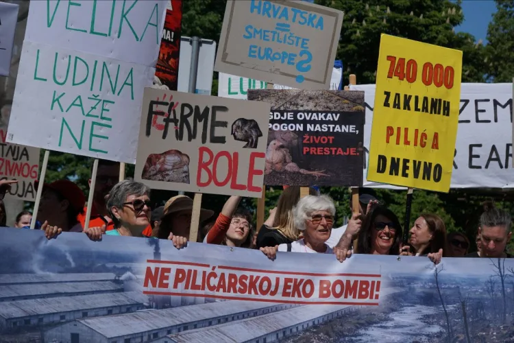 Tisuće prosvjedovale u Sisku: Ne želimo megafarme i klaonice u Hrvatskoj