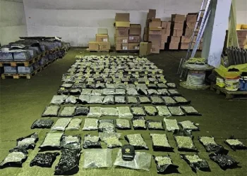 Velika zapljena droge u Luci Ploče: U namještaju pronađeno više od 105 kilograma marihuane