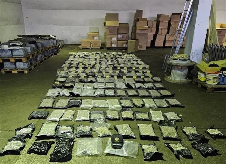 Velika zapljena droge u Luci Ploče: U namještaju pronađeno više od 105 kilograma marihuane