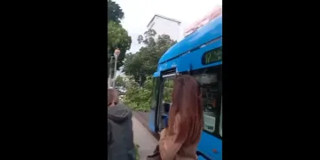 VIDEO Snažno nevrijeme na sjeveru Hrvatske i u Zagrebu: Promet je u kolapsu. Padala su stabla…