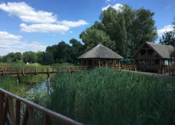 Prilično jak potres u Slavoniji i Baranji: Krevet se zatresao… Prozori su se tresli….
