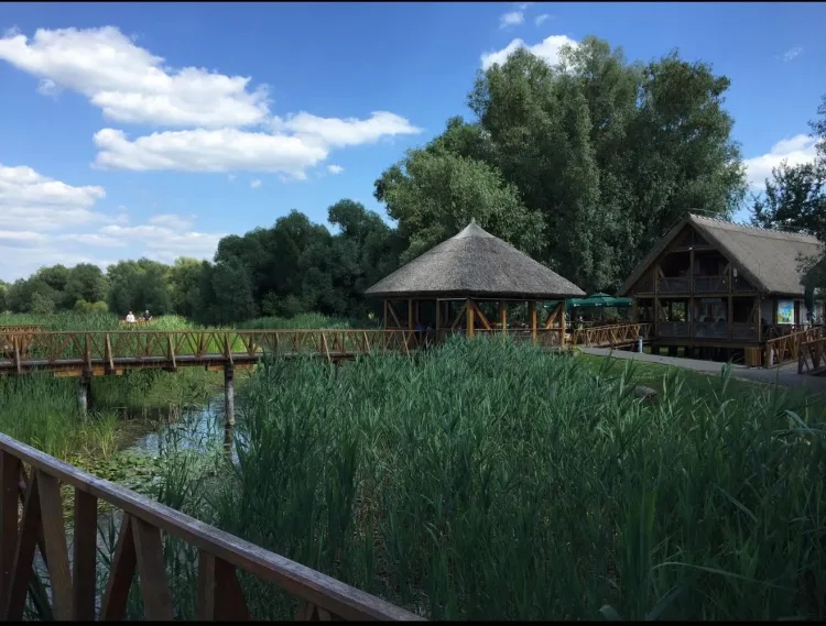 Prilično jak potres u Slavoniji i Baranji: Krevet se zatresao… Prozori su se tresli….