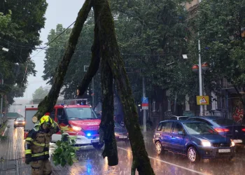 Snažno nevrijeme izazvalo velik broj intervencija: Na čovjeka u Zagrebu pala grana. Promet je u kolapsu…