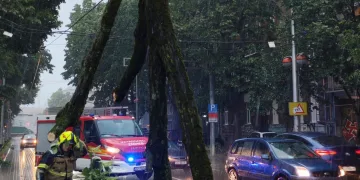 Snažno nevrijeme izazvalo velik broj intervencija: Na čovjeka u Zagrebu pala grana. Promet je u kolapsu…
