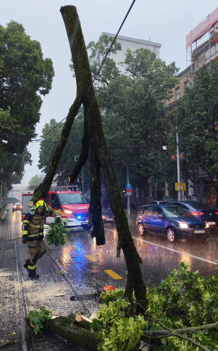 Snažno nevrijeme izazvalo velik broj intervencija: Na čovjeka u Zagrebu pala grana. Promet je u kolapsu…