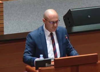 VIDEO Dabro traži više zastupnika za Hrvate izvan Hrvatske: O tome treba odlučiti referendum