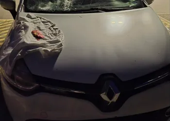 FOTO Vandalizam u Novom Sadu: Kamenovan automobil s vukovarskim pločicama i oznakom za osobe s invaliditetom