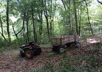FOTO Tragedija u Međimurju: Smrtno stradao traktorist tijekom prijevoza drva. Pokušao se spasiti…