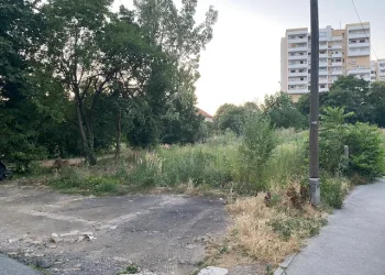 FOTO Tomašević izvlastio pa zapustio: Zarasla gradska parcela uz III. gimnaziju izaziva negodovanje građana i alergičara. Tako je po cijelom gradu…