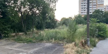 FOTO Tomašević izvlastio pa zapustio: Zarasla gradska parcela uz III. gimnaziju izaziva negodovanje građana i alergičara. Tako je po cijelom gradu…