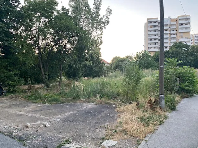 FOTO Tomašević izvlastio pa zapustio: Zarasla gradska parcela uz III. gimnaziju izaziva negodovanje građana i alergičara. Tako je po cijelom gradu…