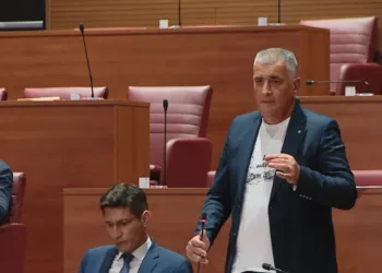 VIDEO Bulj izazvao kaos u saboru oko vojnika u Parizu: Je li na Milanovićevoj strani ili mu nije jasno…