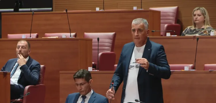 VIDEO Bulj izazvao kaos u saboru oko vojnika u Parizu: Je li na Milanovićevoj strani ili mu nije jasno…