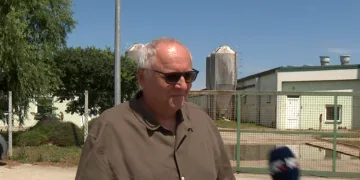Alarm zbog afričke svinjske kuge: U Hrvatskoj već 89 žarišta. Veterinar spriječio iskrcaj svinja i moguću katastrofu