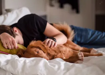 Je li loše spavati s kućnim ljubimcem? Prednosti, rizici i savjeti stručnjaka