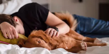 Je li loše spavati s kućnim ljubimcem? Prednosti, rizici i savjeti stručnjaka
