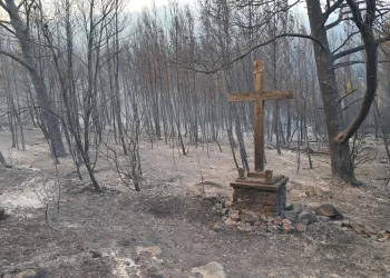 VIDEO Veliki požari u Dalmaciji: Vatrogasci iz više županija stavljeni u pripravnost. Teško stanje na Korčuli…
