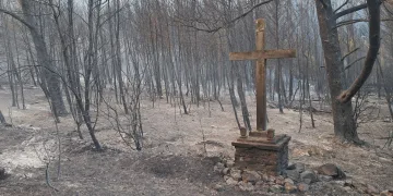 VIDEO Veliki požari u Dalmaciji: Vatrogasci iz više županija stavljeni u pripravnost. Teško stanje na Korčuli…