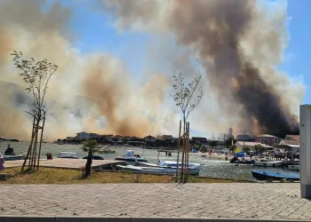 VIDEO Vatrogasci obranili kuće u Vinišću: Požar stavljen pod nadzor