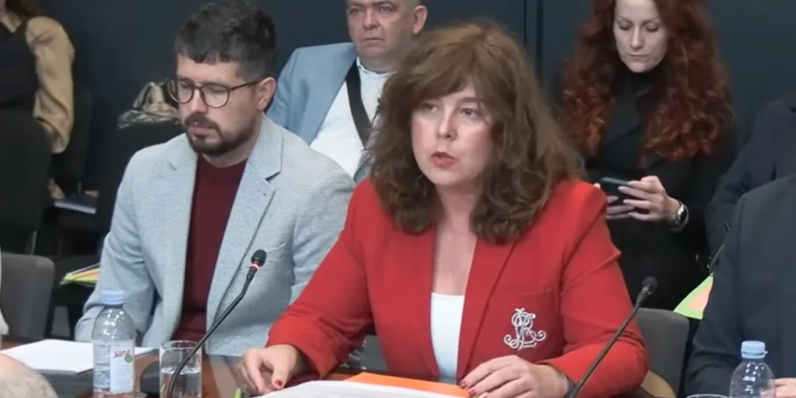 Pravobraniteljica za djecu nakon tragedije u Zagorju: Razmatra se novi model praćenja rizičnih slučajeva