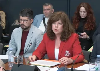 Pravobraniteljica za djecu nakon tragedije u Zagorju: Razmatra se novi model praćenja rizičnih slučajeva