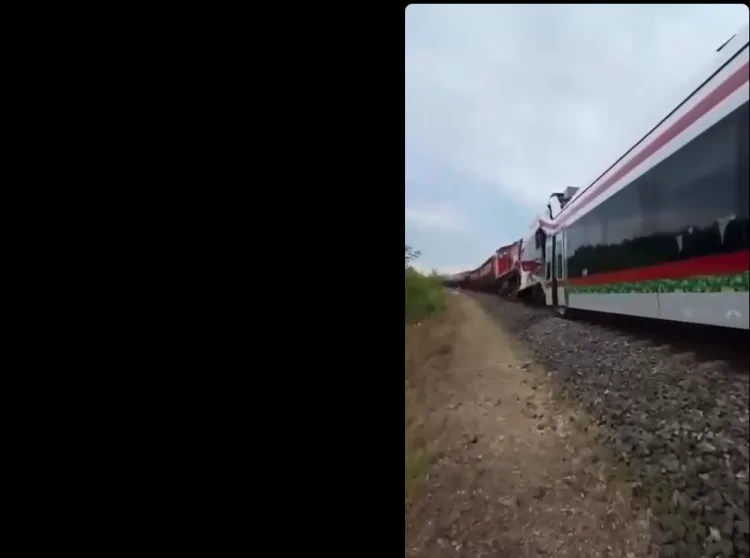 VIDEO Sudar putničkog i teretnog vlaka: Dvadeset osoba je ozlijeđeno. Šest teško….