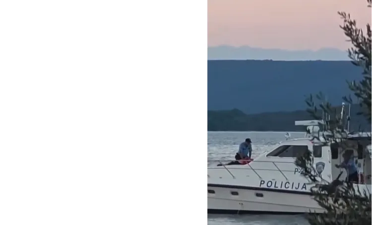 VIDEO Drama na Pašmanu: Policajac bacio psa u more. Službeno kažu – pušten je….