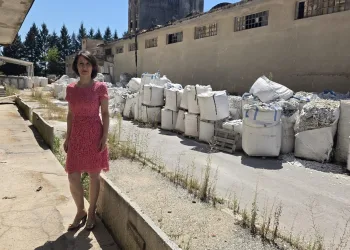 Dalija Orešković i otrovno smeće: Provjerava li SOA ono što se među građanima šuška tko zapravo stoji iza uvoza?