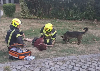 Drama u požaru u Stenjevcu: Vlasnica u dimu pronađena bez svijesti. Pas je cijelo vrijeme bio uz nju…