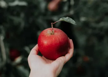 Jedna jabuka na dan tjera liječnika iz kuće! Evo što se zapravo krije iza stare izreke