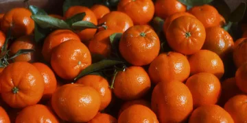 Stigla je sezona mandarina! Omiljeno jesensko voće krije brojne dobrobiti, a jedna bi vas mogla posebno iznenaditi