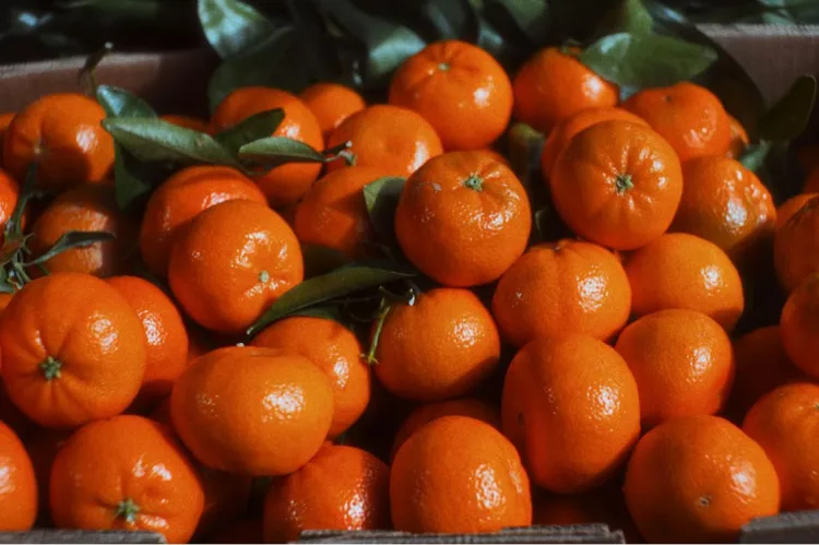 Stigla je sezona mandarina! Omiljeno jesensko voće krije brojne dobrobiti, a jedna bi vas mogla posebno iznenaditi