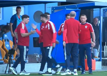 Ugledni sportski komentator nakon 0:7: Zbog čega Olić i Kranjčar već nisu na Rujevici?
